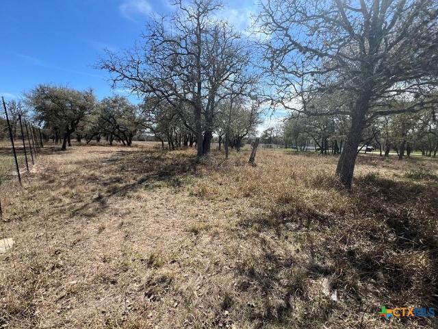 Land for sale in Hallettsville, Texas