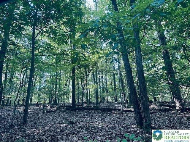 Land for sale in Lower Macungie Township, Lehigh County