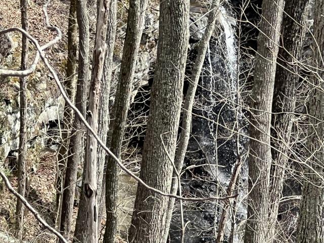 Land for sale in Tennessee