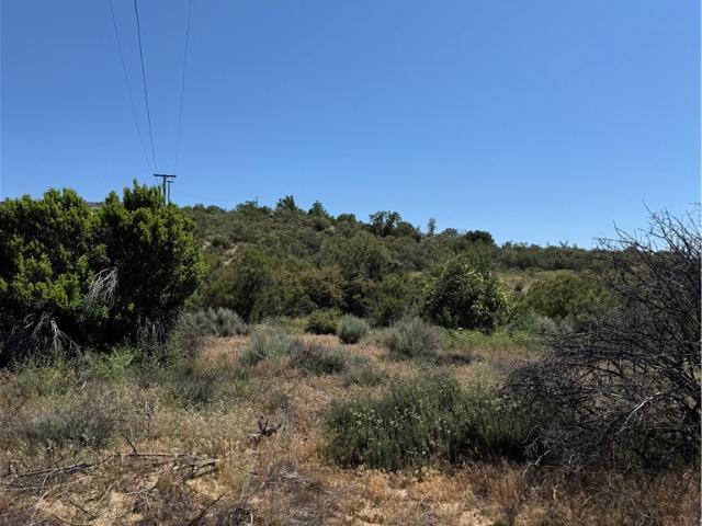 Land for sale in Aguanga
