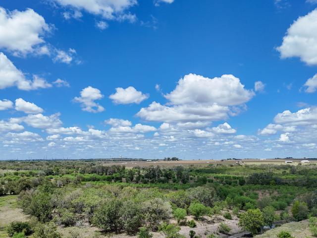 Land for sale in Staples, Texas