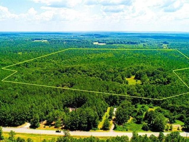 Land for sale in Greenville, Georgia