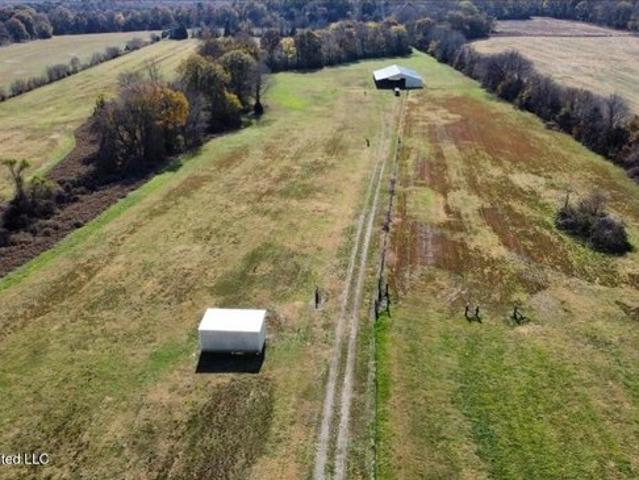 Land for sale in Walnut, Mississippi