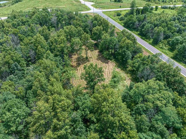 Land for sale in Elberfeld, Indiana