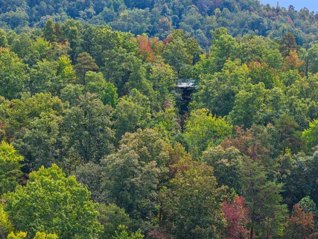 Land for sale in Bath, Kentucky