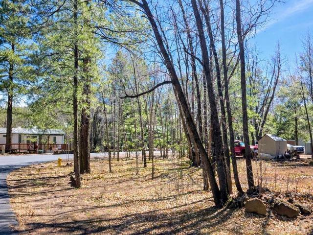 Land for sale in Navajo, Arizona