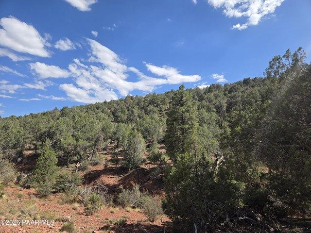 Land for sale in Ash Fork, Arizona