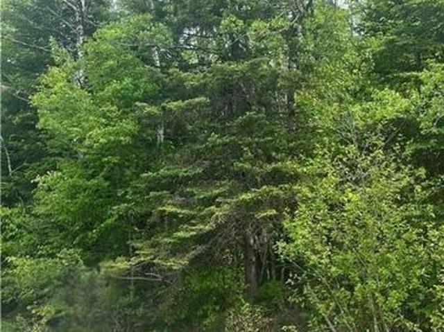 Land for sale in Quispamsis, New Brunswick