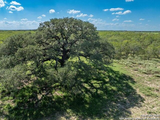 Land for sale in Yancey, Texas