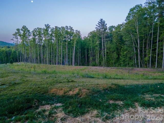 Land for sale in Fairview, North Carolina