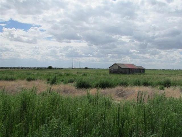 Land for sale in Portales, Roosevelt County