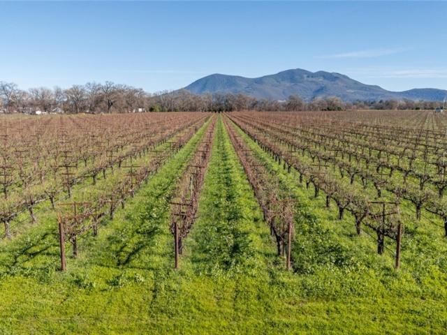 Land for sale in Lake, California