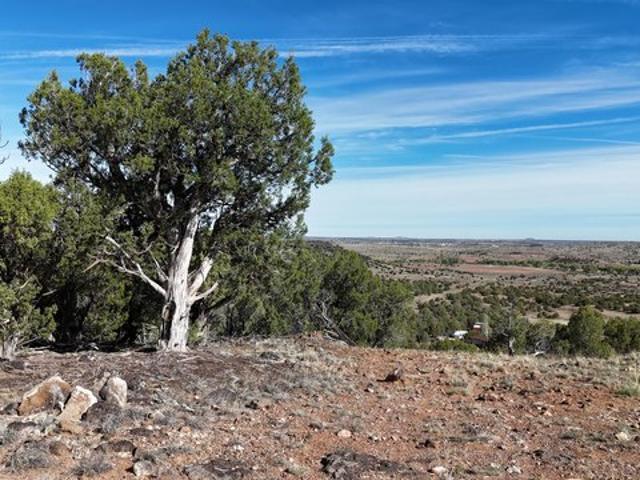 Land for sale in Navajo, Arizona