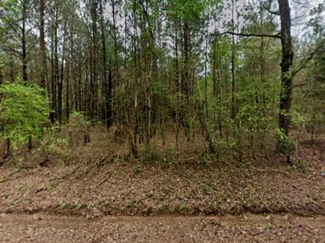 Land for sale in Mount Enterprise, Texas