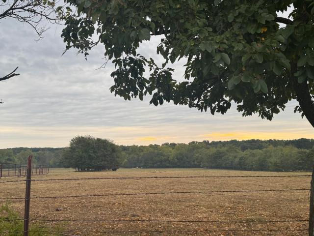 Land for sale in Bolivar, Polk County