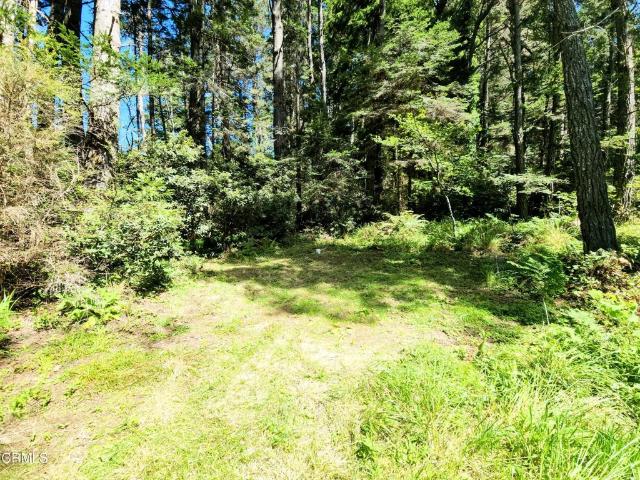 Land for sale in Mendocino, California