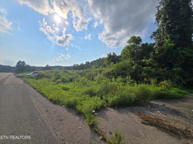 Land for sale in Dryden, Lee County