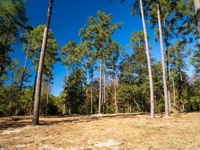 Land for sale in Colmesneil