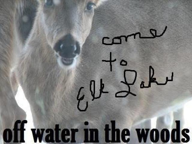 Land for sale in Owenton, Kentucky