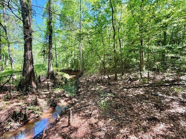 Land for sale in Sabine, Texas