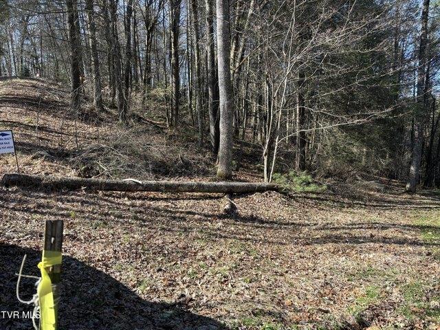 Land for sale in Tennessee