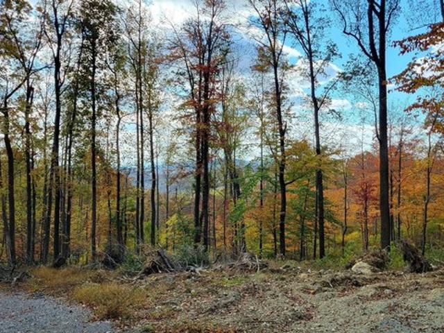 Land for sale in Myersville, Maryland