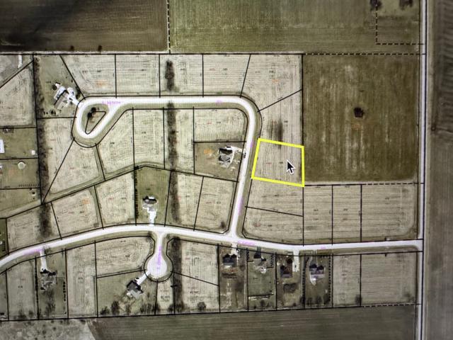 Land for sale in Newark, Illinois