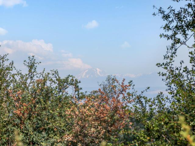 House for sale in Shasta, California