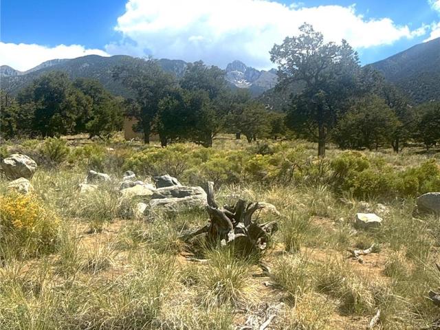 Land for sale in Crestone, Colorado