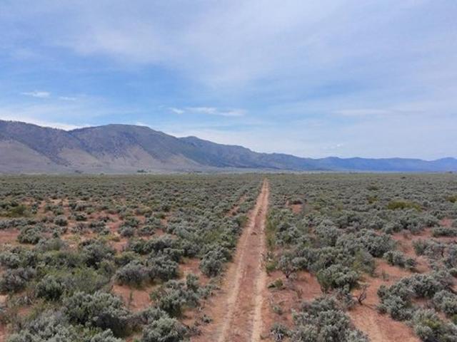 Land for sale in Herlong, California