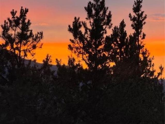Land for sale in Twin Lakes, Colorado