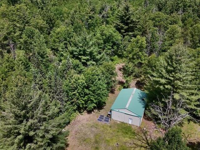 Land for sale in Clare, Michigan