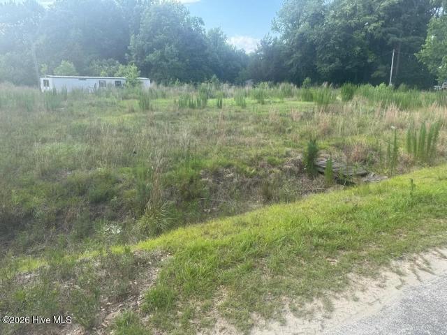Land for sale in Magnolia, North Carolina