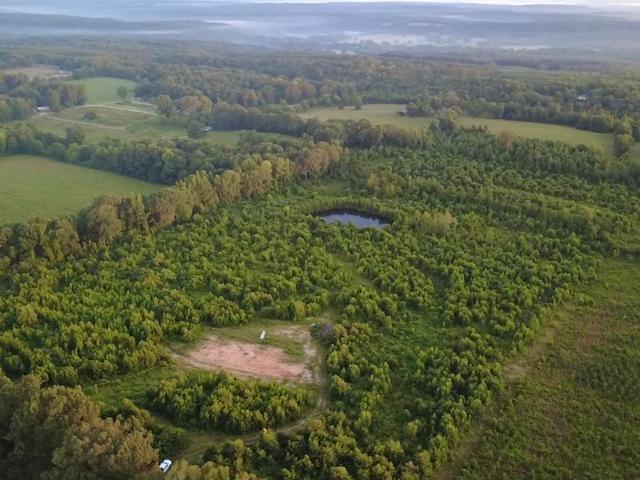 Land for sale in Ark