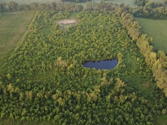 Land for sale in Ark