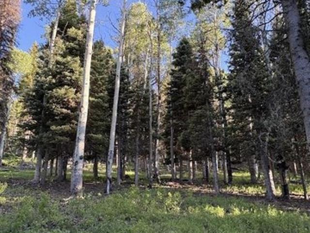 Land for sale in Montrose, Colorado