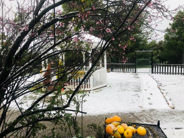 Property for sale in Ahwahnee, California