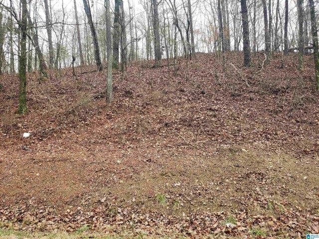 Land for sale in Gardendale, Alabama