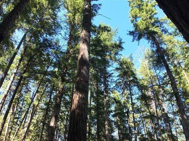 House for sale in Denman Island, British Columbia