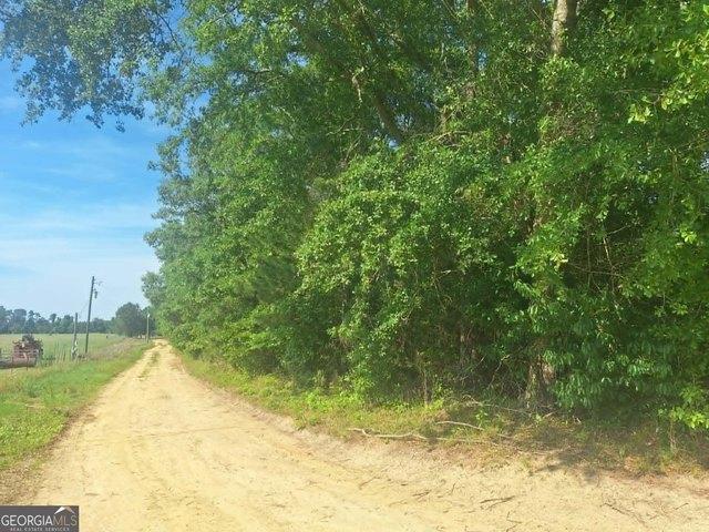 Land for sale in Millen, Georgia