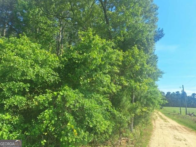 Land for sale in Millen, Georgia