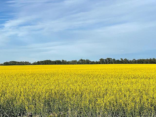 Land for sale in Wetaskiwin, Alberta