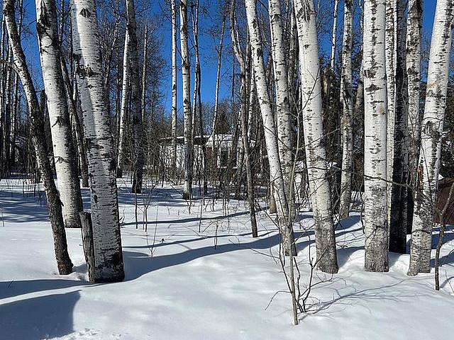 Land for sale in Bjorkdale, Saskatchewan