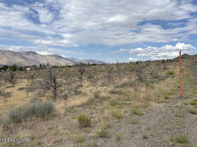 Land for sale in Coleville, California