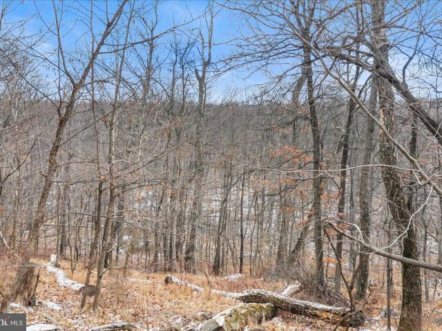 Land for sale in Hedgesville, West Virginia