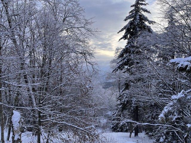 Land for sale in Snowshoe, West Virginia