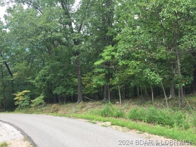 Land for sale in Friedenswald, Camden County