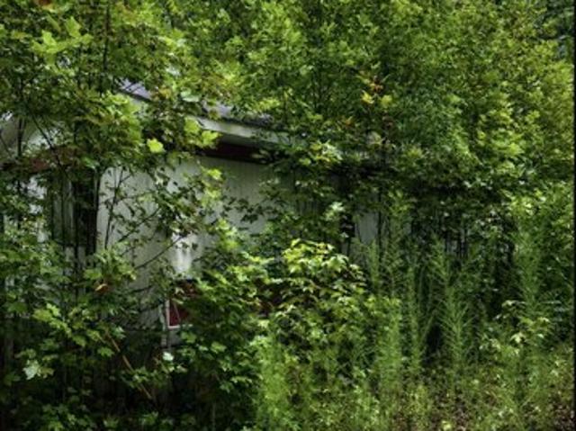 Land for sale in Hustle, Essex County