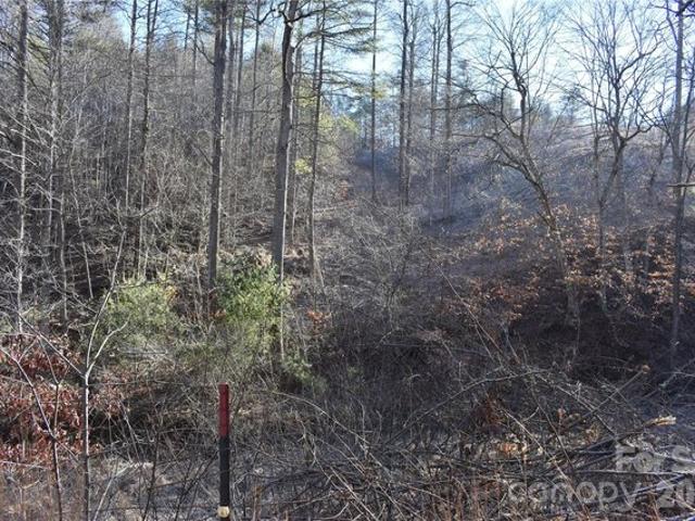 Land for sale in Yancey, North Carolina