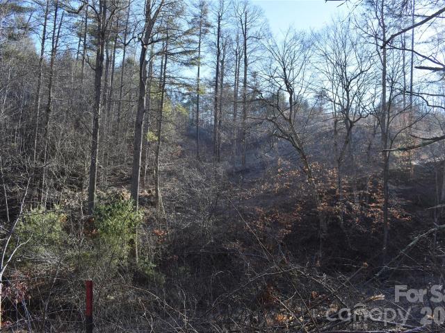 Land for sale in Yancey, North Carolina
